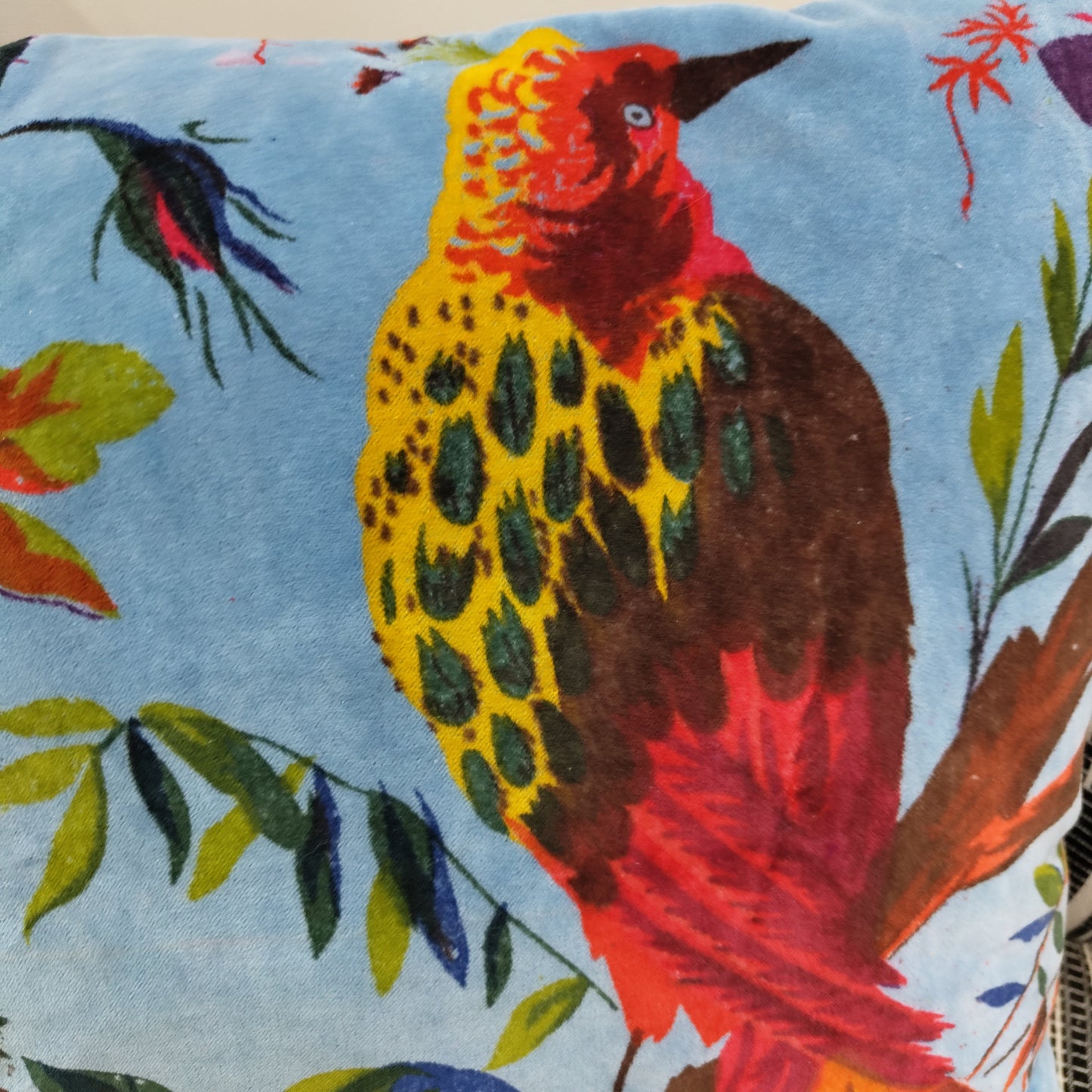 18" Solo Bird velvet cushion cover- Blue