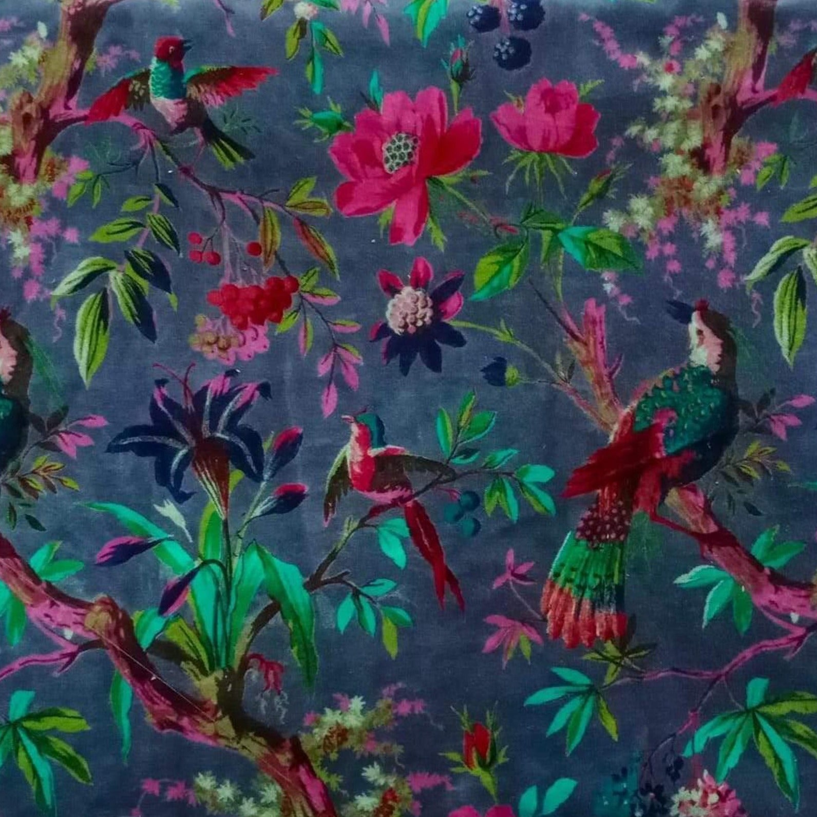 Birds of Paradise Velvet fabric for upholstery- Grey