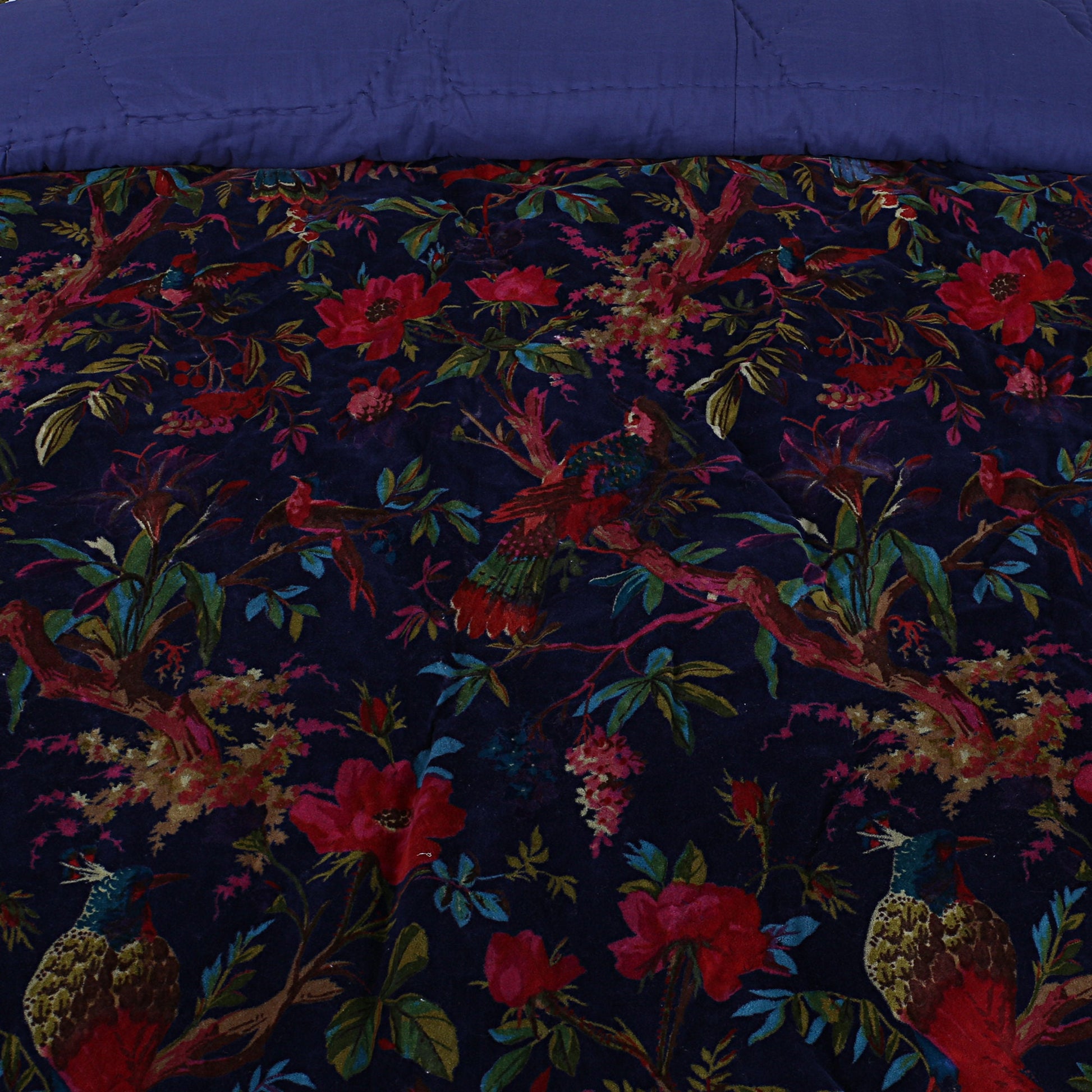 Birds of paradise Blue 250 GSM Velvet Quilt with pillow covers