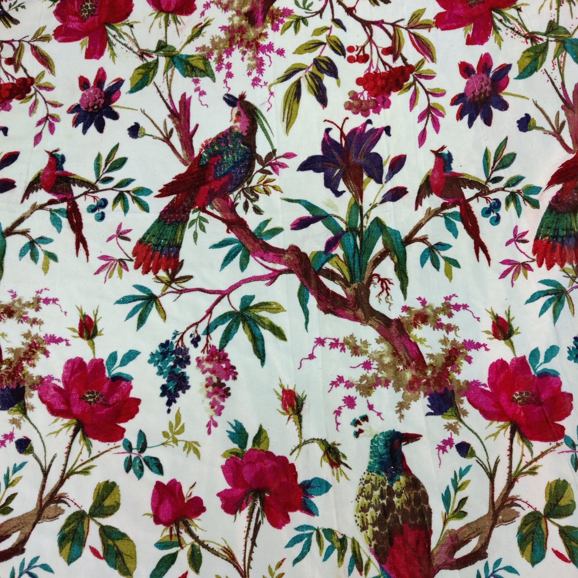 Birds of Paradise Velvet fabric for upholstery-White