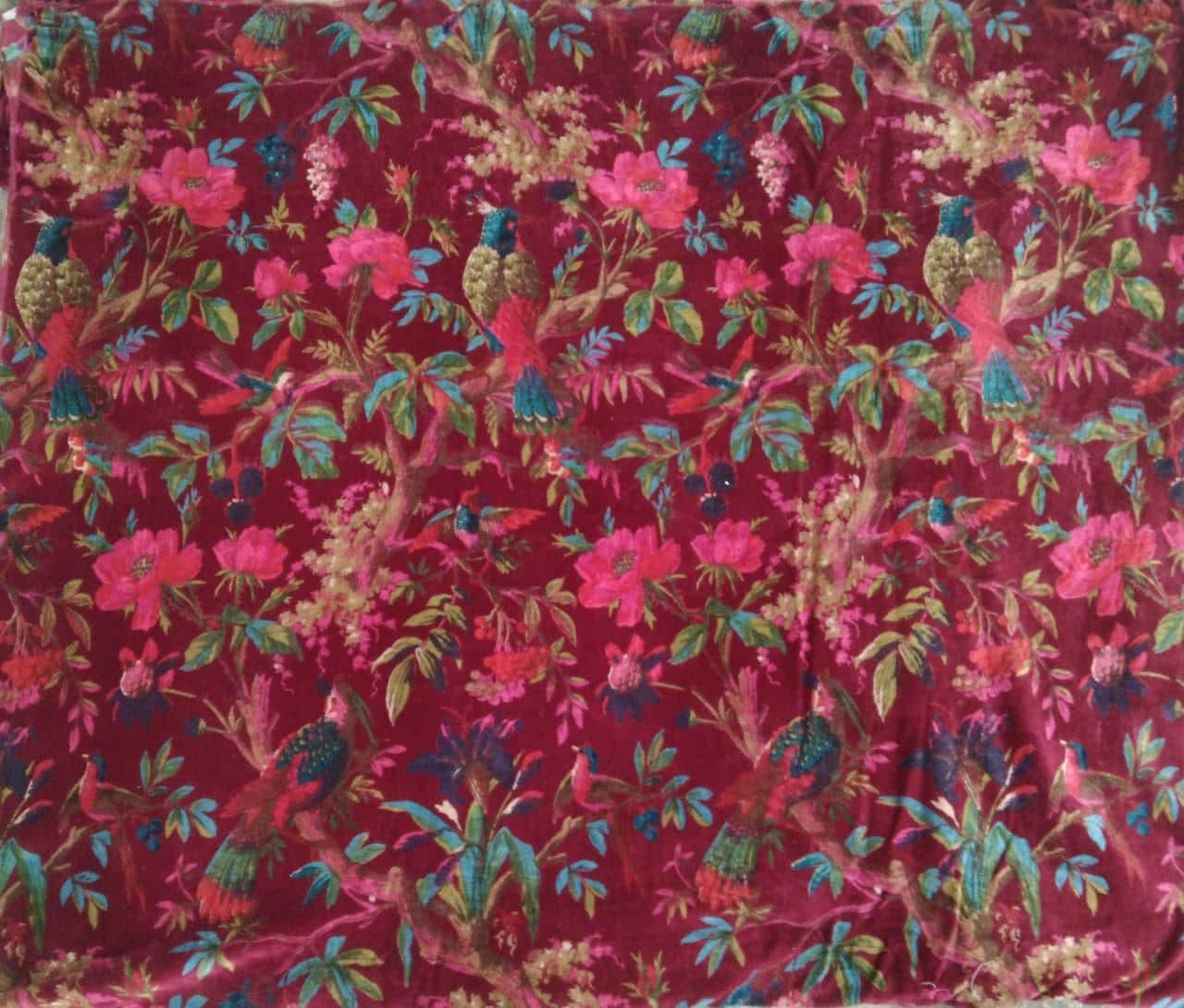 Birds of paradise Maroon cotton velvet upholstery fabric