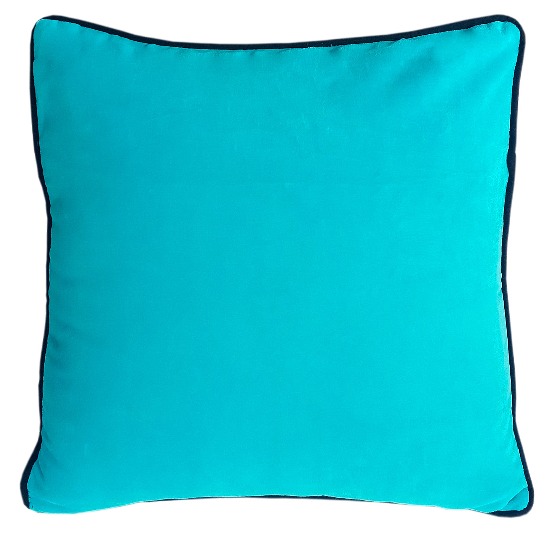 Sky Blue Velvet Cushion Cover with piping - The Teal Thread