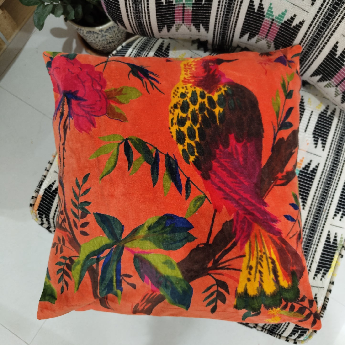 18" Solo Bird velvet cushion cover- Orange