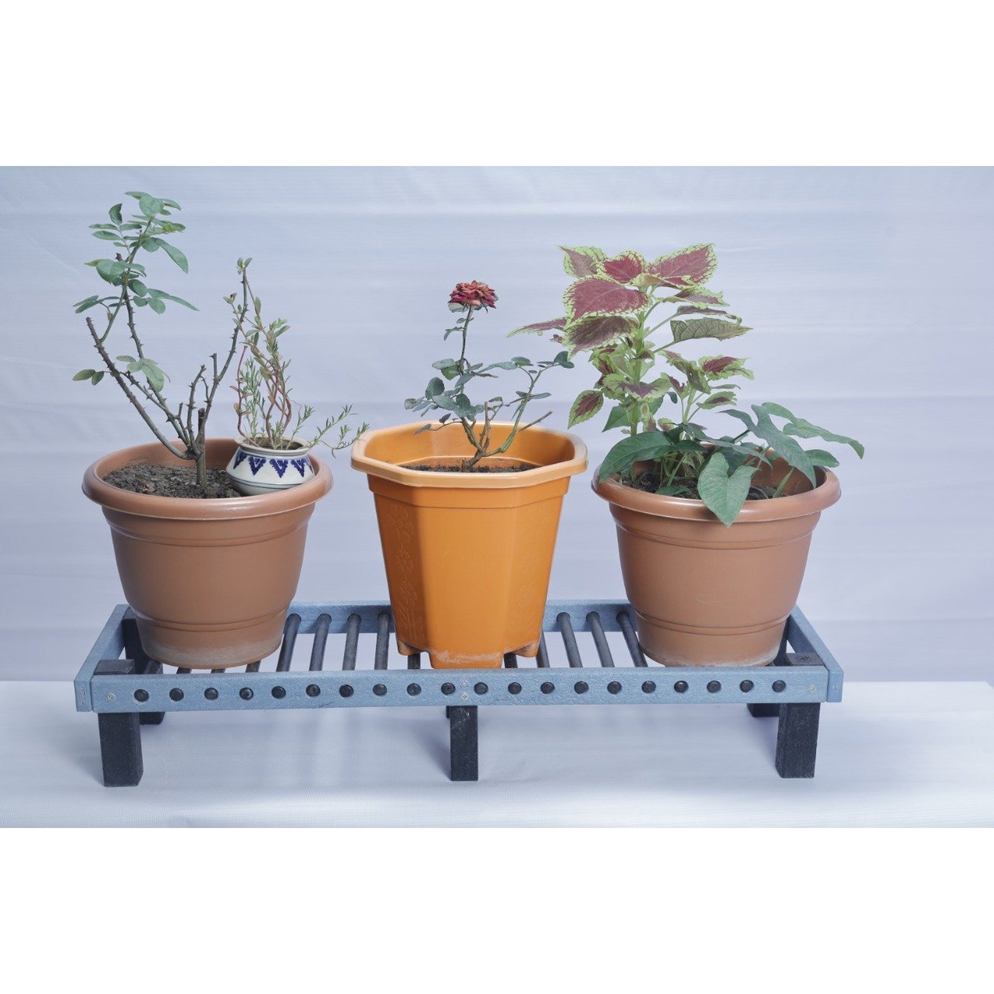 Eco Trio Pot Stand - The Teal Thread