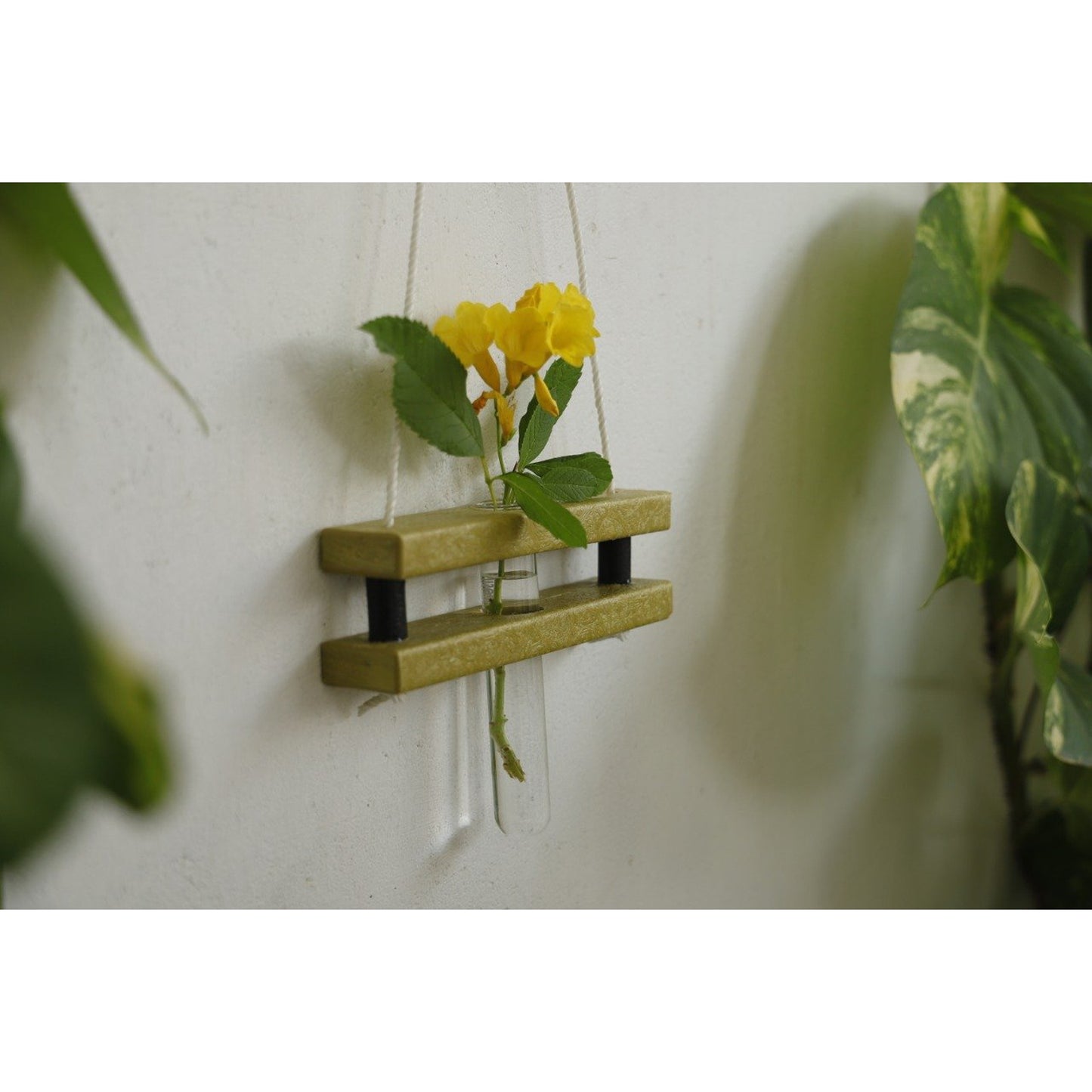 Eco Test Tube Hanging Planter - The Teal Thread