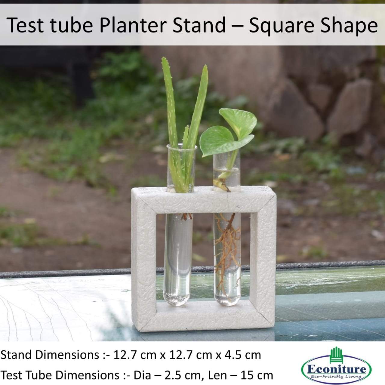 Eco Test Tube Planter Square - The Teal Thread