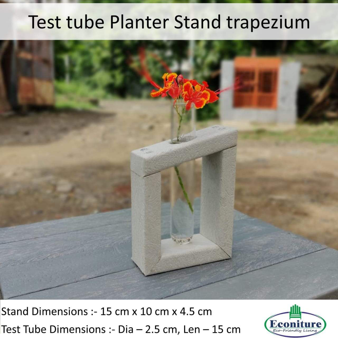 Chaand- Test Tube Planter with 4 test tubes – TheIndianRose