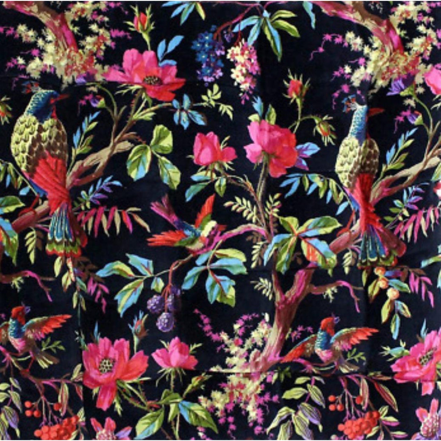 Velvet fabric Birds of Paradise for upholstery- Black - The Teal Thread